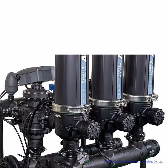 Automatic Backawsh Disc Filter System for Farm Irrigation System/ Agriculture Drip Irrigation