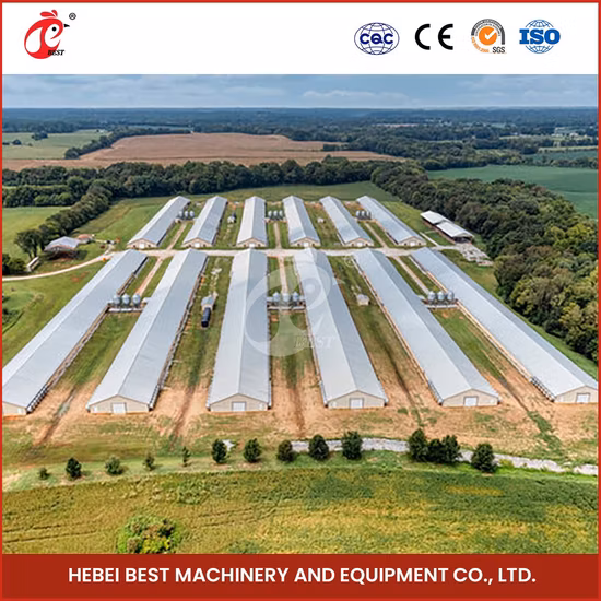 Sistema de controle de ventilação Bestchickencage China Sistema de controle de ventilação ambiental moderno para frango Fábrica ODM Controle de clima personalizado para estufa