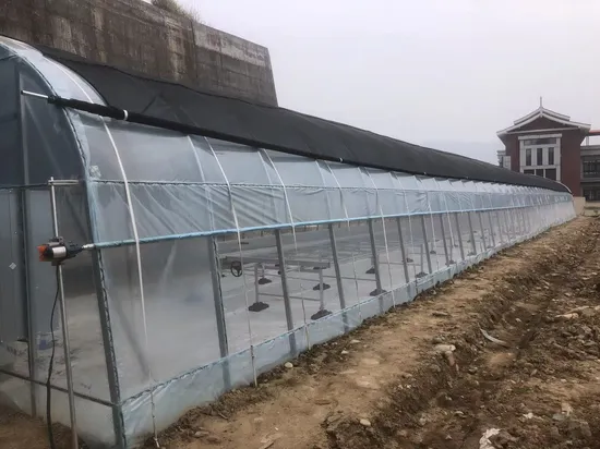 Trinog China fez estufa agrícola de filme plástico hidropônico multispan para fazenda comercial