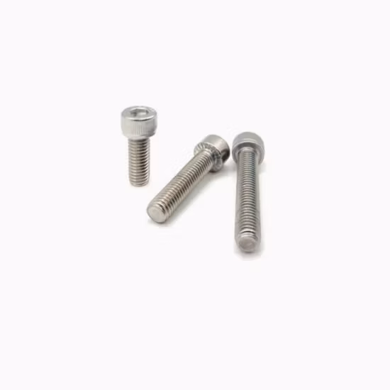 China Factory SS304 SS316 Fixadores de aço inoxidável Haste roscada/parafuso e porca/arruela/âncora/equipamento/pino/rebite/parafuso de deck/parafuso sextavado de cabeça cilíndrica