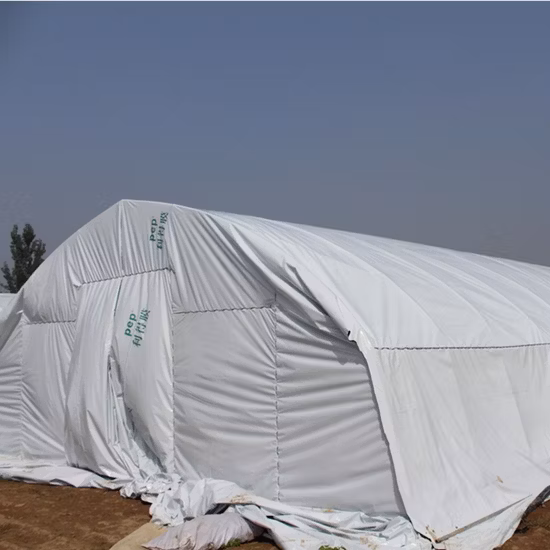 Estufa de filme PE comercial de alta qualidade para frutas