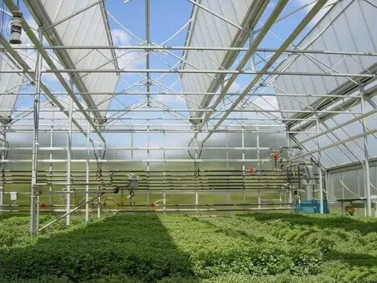 Estufa plástica da indústria extrativa para cultivo de vegetais