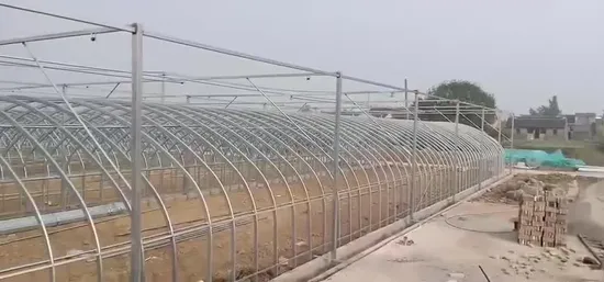 Estufa comercial do túnel da indústria extrativa do fornecedor da casa verde de Xinhe do único período do bom serviço
